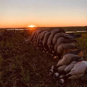 Meet your Posher, Cole